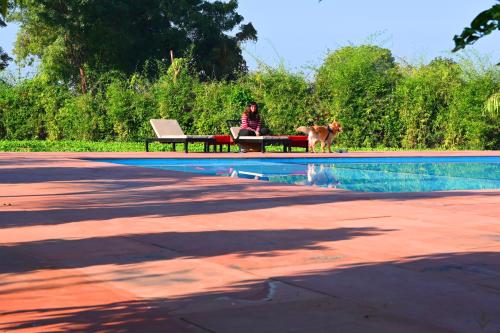 hotel motibagh resort