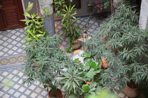 riad al bartal