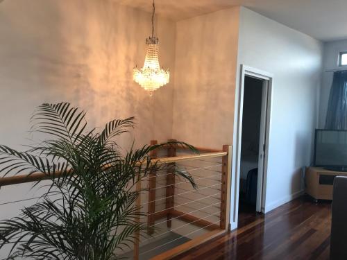 beachside apartments bonbeach