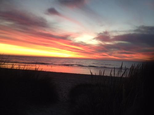 beachside apartments bonbeach