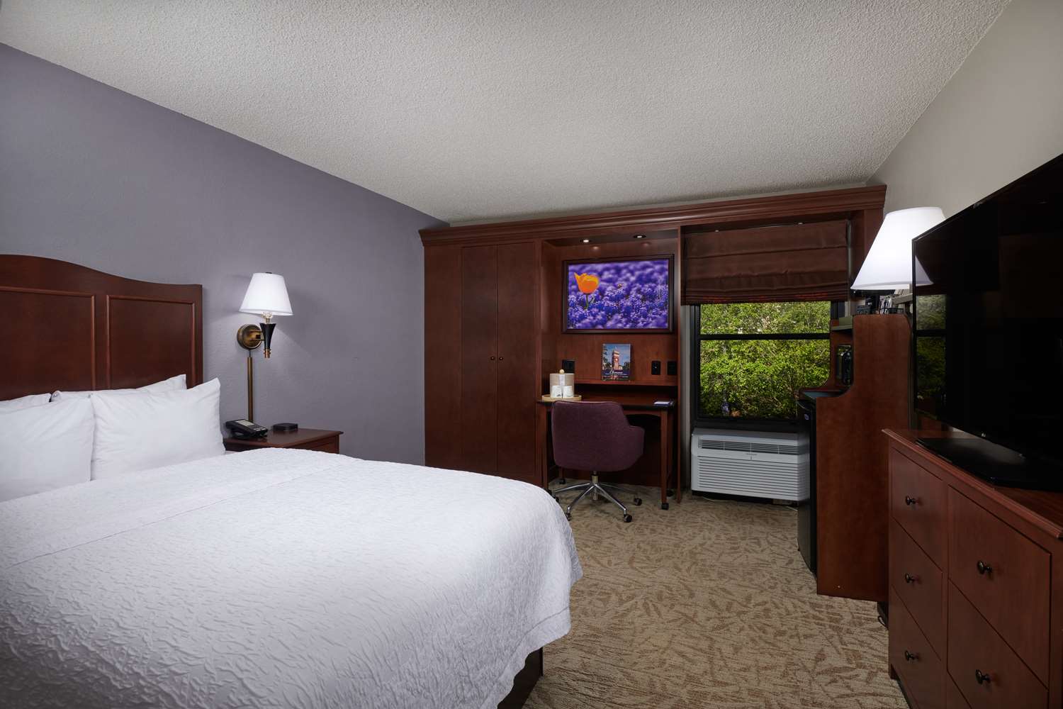 hampton inn clemson university area