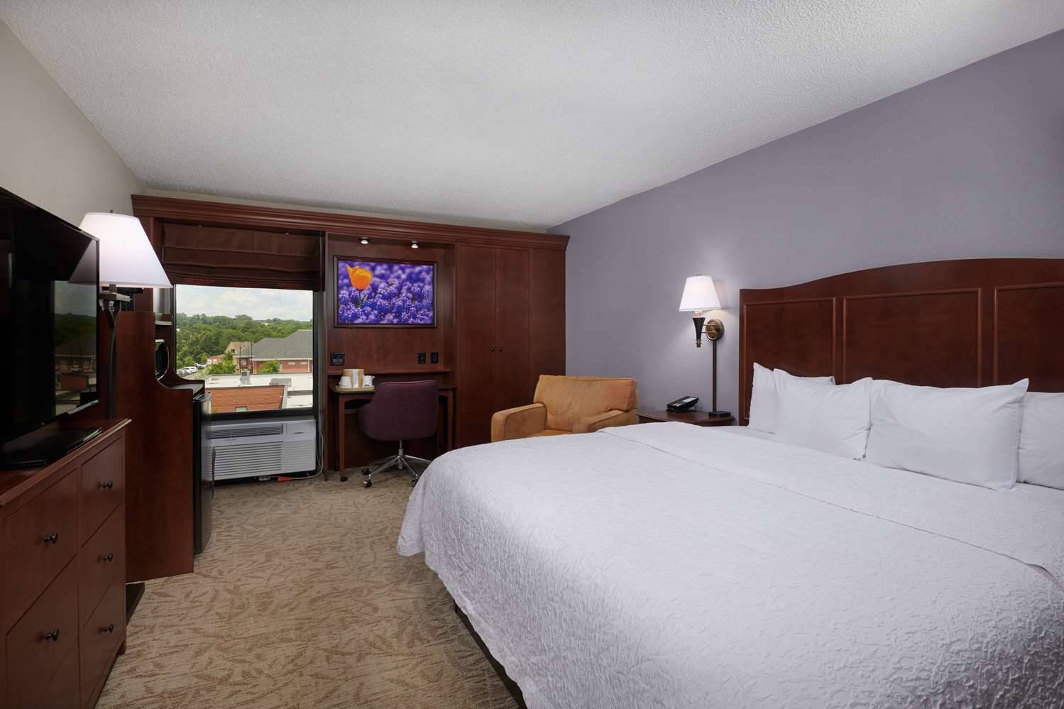 hampton inn clemson university area