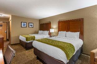 comfort inn collinsville near st louis