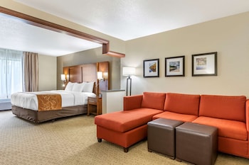 comfort suites grand rapids north