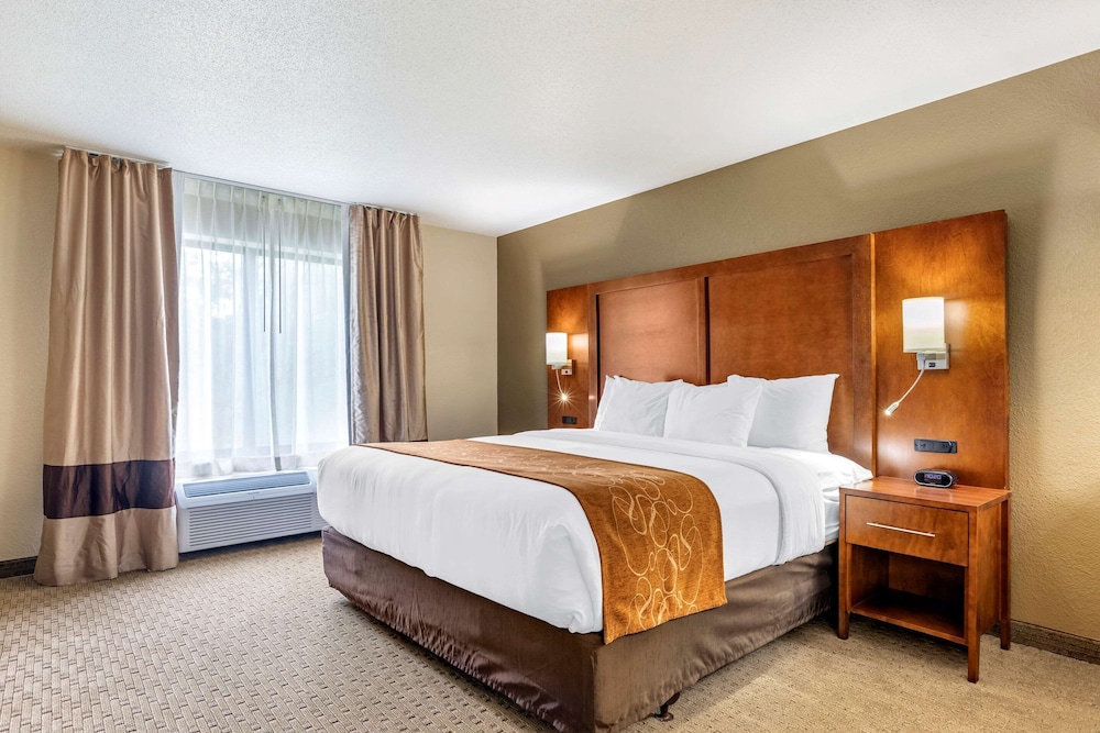 comfort suites grand rapids north
