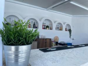 albatros hotel