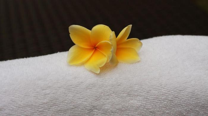 echoland bed and breakfast