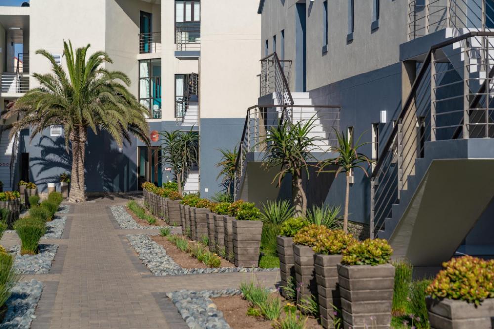 the delight swakopmund