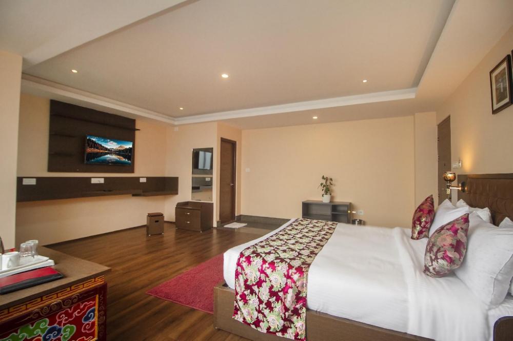 green view stay in gangtok