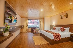 green view stay in gangtok