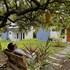 la fortuna ecohouse