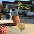 naturella apart hotel