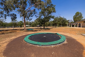 dubbo