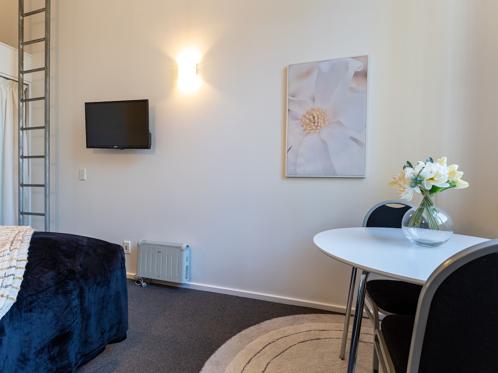 lovely urban studio plus loft off queen street