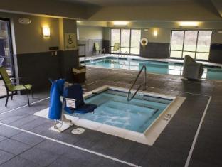 hampton inn and suites lansing west