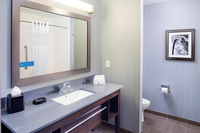 hampton inn and suites lansing west
