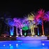 hamilton agadir