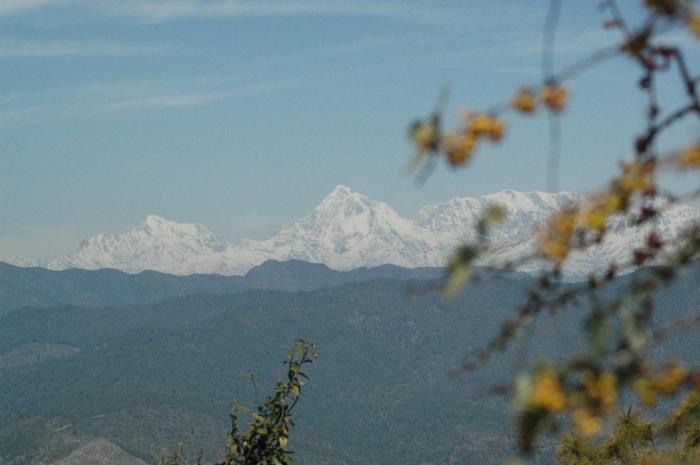 woodsvilla residency ranikhet