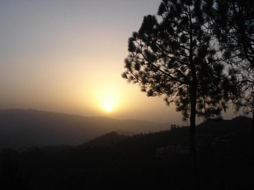 woodsvilla residency ranikhet