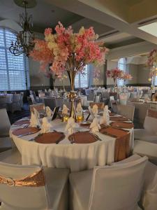 hilton houston north