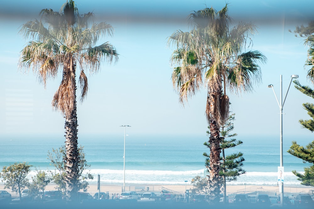 wake up bondi beach hostel