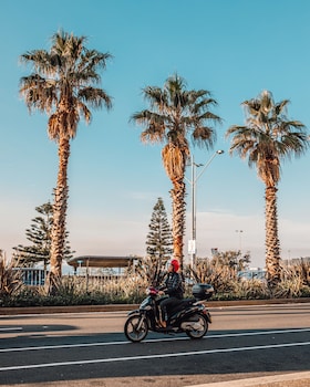 wake up bondi beach hostel