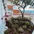 villa roberto