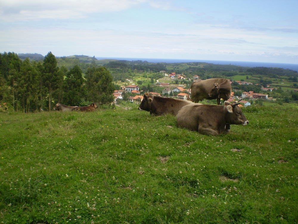 casa de aldea ruiloba