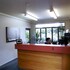 palmerston north