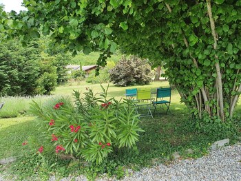 chambres d hotes le cedre bleu