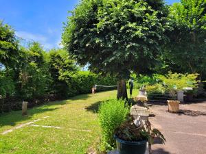 chambres d hotes le cedre bleu