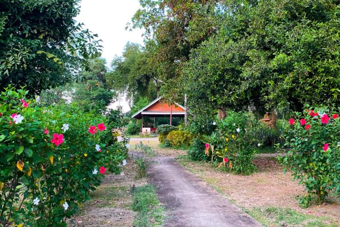 the country lake nature lodge hotel