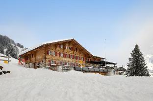 alpinhotel bort