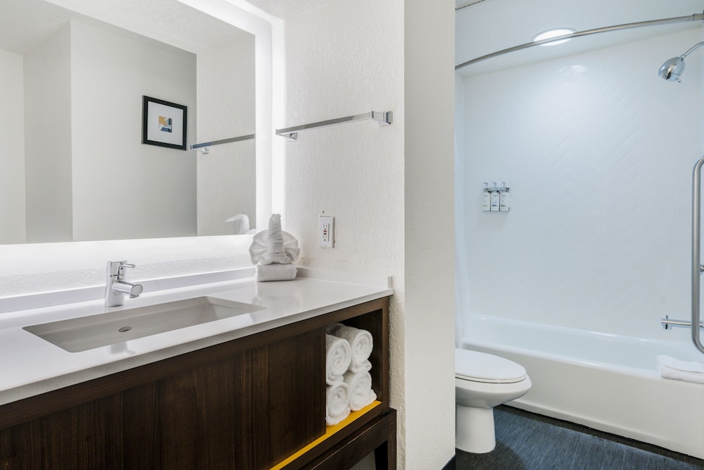 holiday inn orlando intl drive conv center