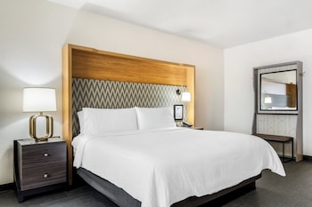 holiday inn orlando intl drive conv center