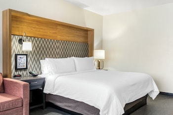 holiday inn orlando intl drive conv center