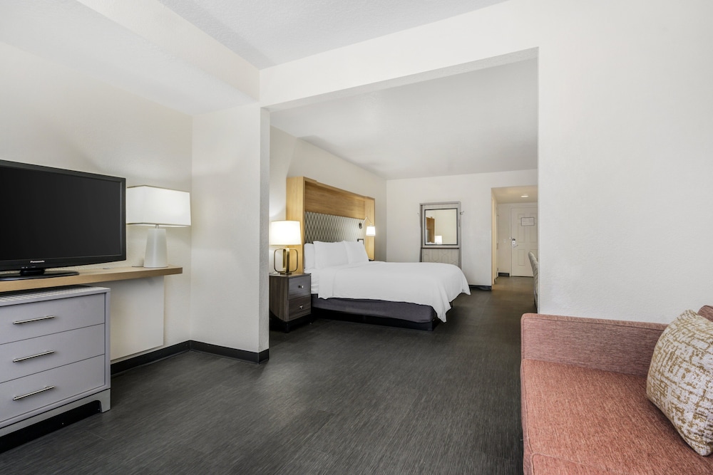 holiday inn orlando intl drive conv center