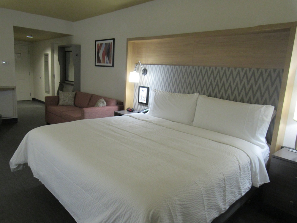 holiday inn orlando intl drive conv center