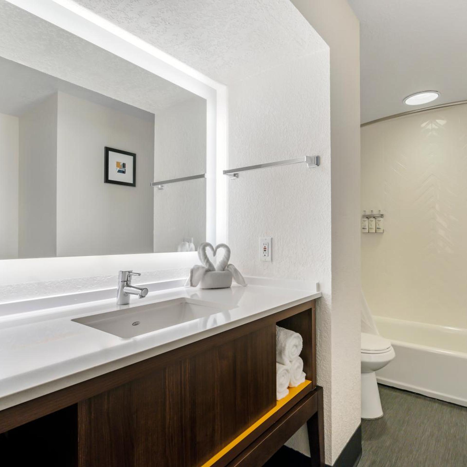 holiday inn orlando intl drive conv center