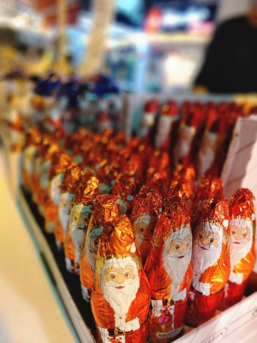 maya guest house german colony