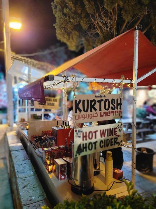 maya guest house german colony