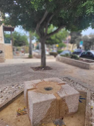 maya guest house german colony