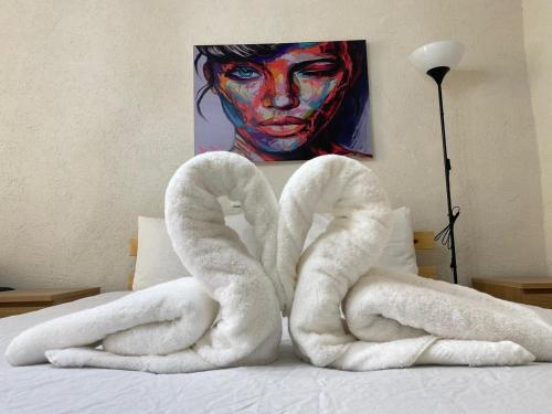 maya guest house german colony