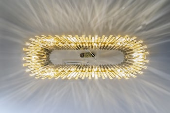 sintra marmoris camelia