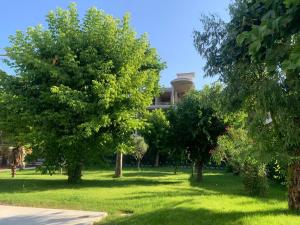 marina gardens boutique and suites