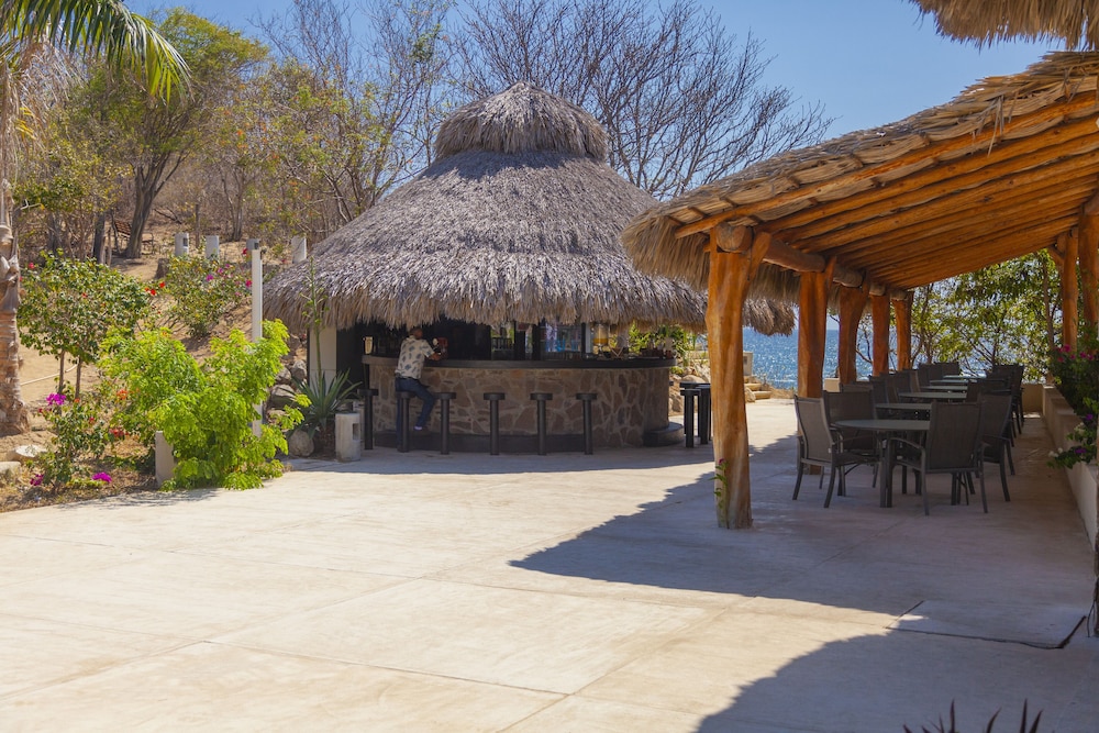 coral blue hotels and resorts