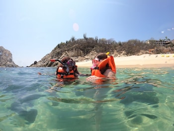 coral blue hotels and resorts