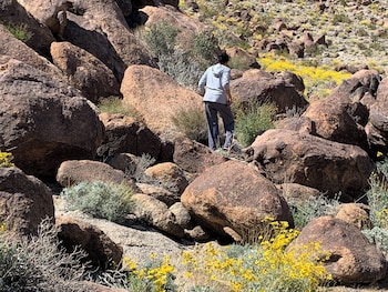 americas best value inn joshua tree 29 palms