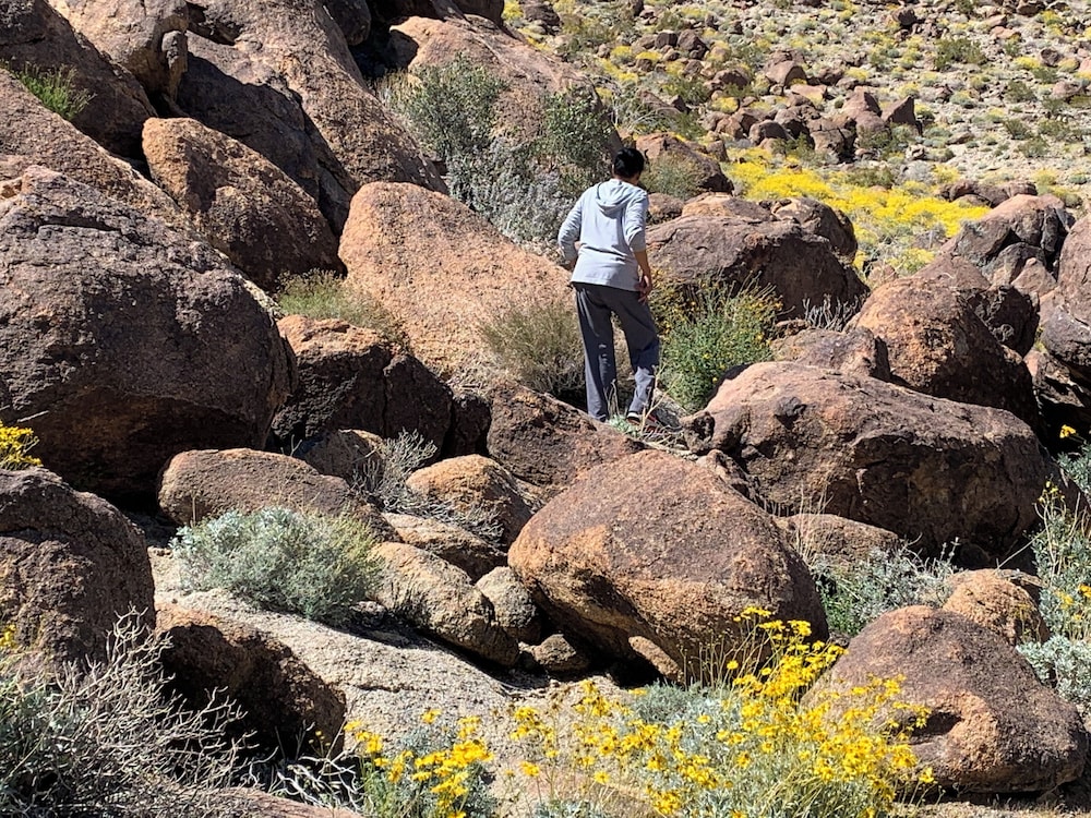 americas best value inn joshua tree 29 palms