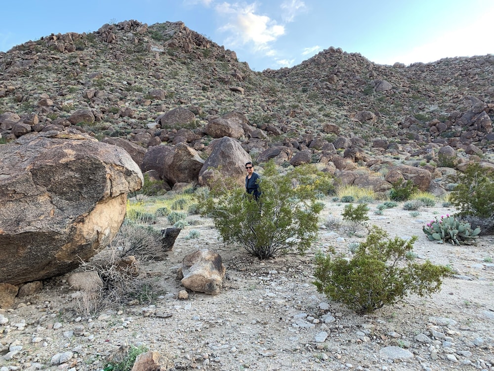 americas best value inn joshua tree 29 palms